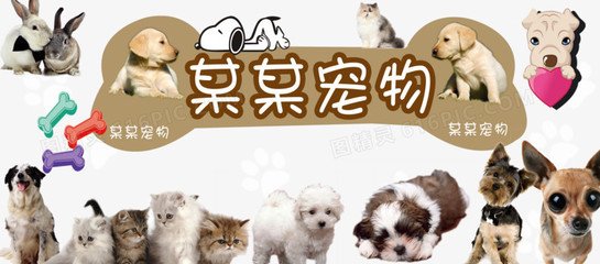 BTC钱包苹果版